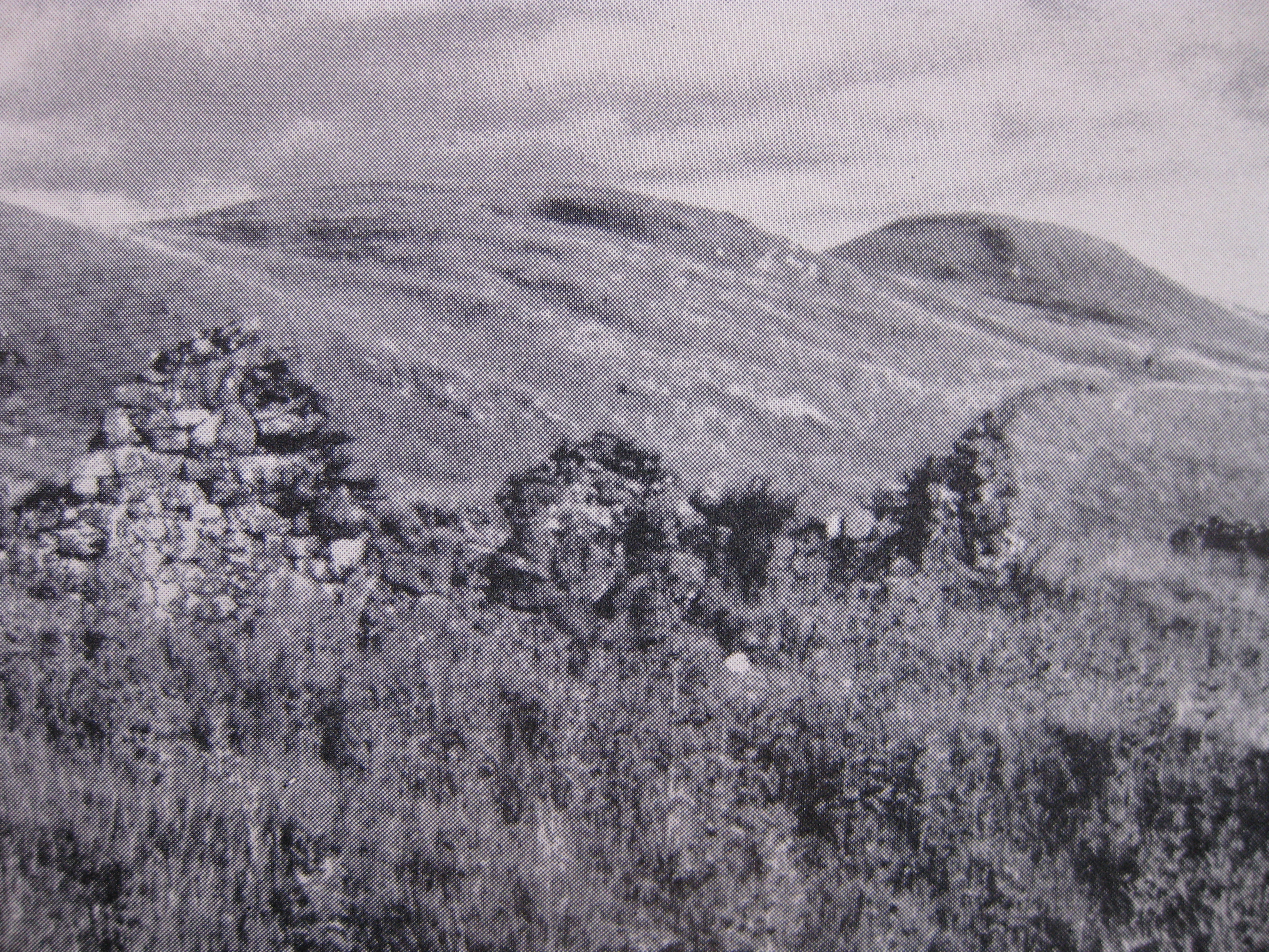 Ruins of Carrick (1967)